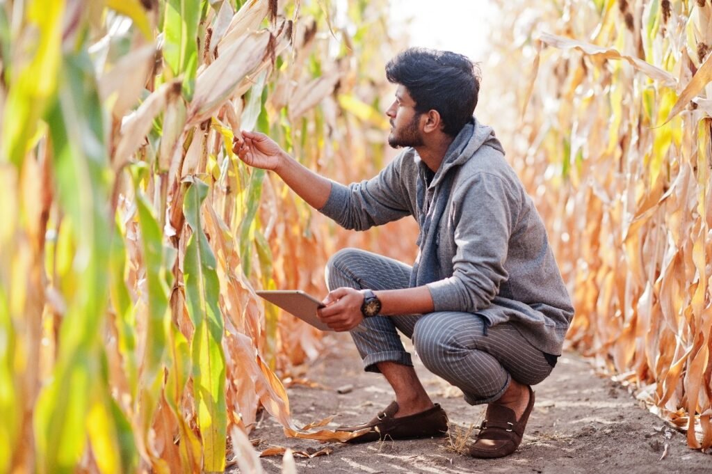 Rice Puller Test